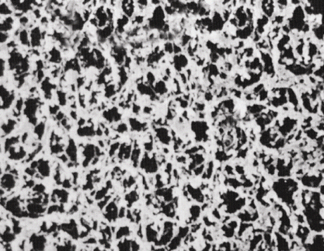 Nylon membránszűrő, fehér