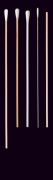 Cotton swab for sampling