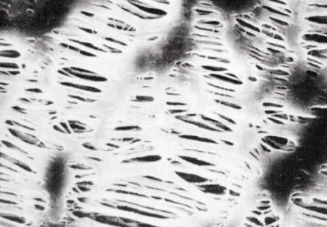 Teflon (PTFE) membránszűrő, fehér