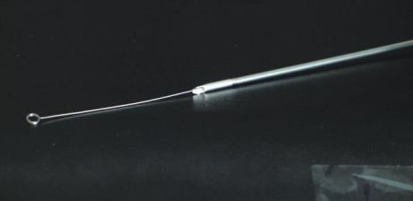 Rédey-féle oltókacstartó szár, felhelyezett oltókaccsal