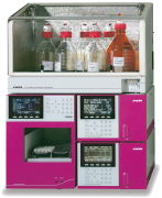 S433-DS Sykam automatic amino acid analyzer for physiological fluids