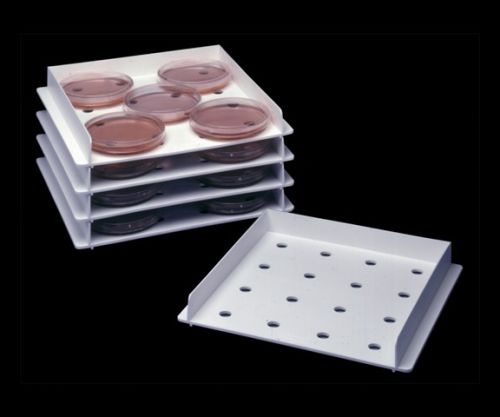 Petri dish holding tray