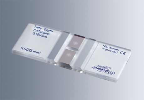 Microscopic counting chambers with two cover slides