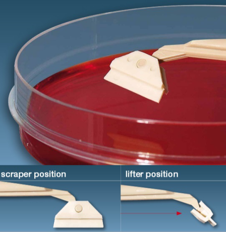 ABS and silicone, 17 mm blade cell scraper