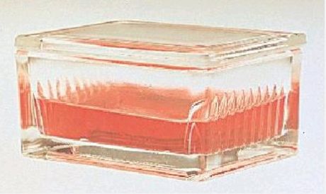 Tárgylemez festőedény tetővel B típusú Schiefferdecker