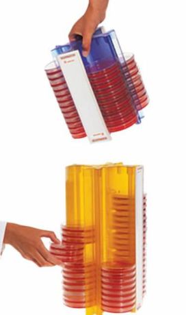 Petri dish holder for dishes with a diameter of 92 mm