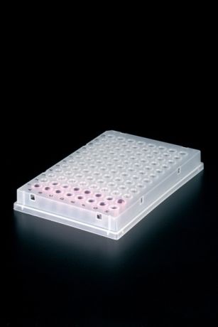 PCR plate fehér 96 db 200 µl lyukkal