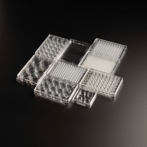 Felületkezelt, steril sejttenyésztő lemezek