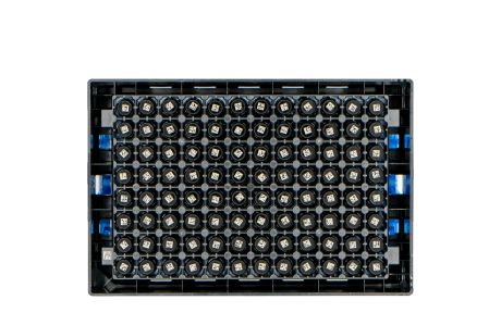 2D code in the bottom of the tubes