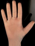 Extra small vinyl gloves, powdered, 100 pc/case