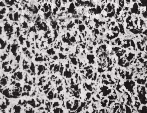 Nylon membránszűrő, fehér