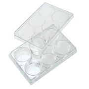 6-well cell culture plate with lid, 9.60cm2, surface treated, sterile, individually wrapped, 100 pcs / pack