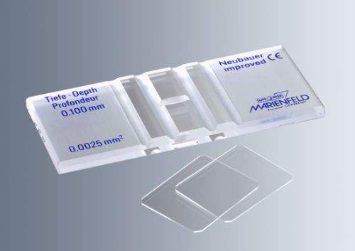 Mikroszkópiás számlálókamrák két fedőlemezzel