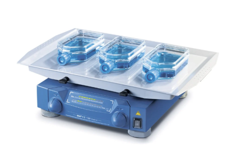 IKA KS 130 basic orbital shaker