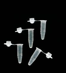 PCR cső domború tetővel, 0,5 ml