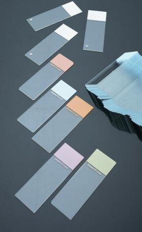 Mikroszkóp tárgylemez