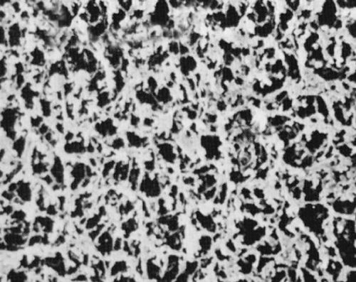 Nylon fecskendőszűrő, hidrofil