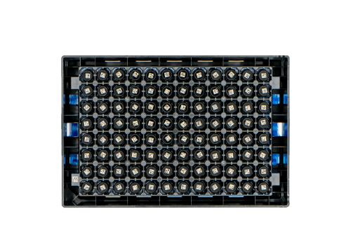 SAFE® MX500 fagyasztócsövek, 500 mikroliter térfogattal