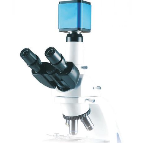 ALPHA-OPTIKA microscopes