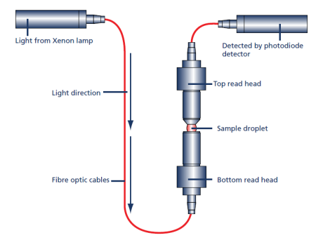 7415 Nano's light path