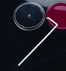 Steril szélesztőbot, fehér, 149 mm hosszú