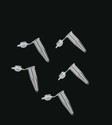 PCR cső domború tetővel, 0,2 ml