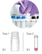 DNS feltáró kit, 50 reakció/dob.