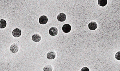 Polycarbonate membrane filter