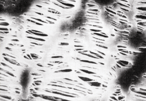 Teflon (PTFE) membránszűrő, fehér