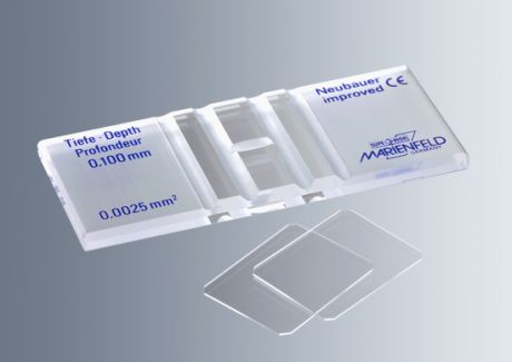 Microscopic counting chambers with two cover slides